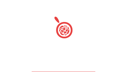 De l'idée au produit