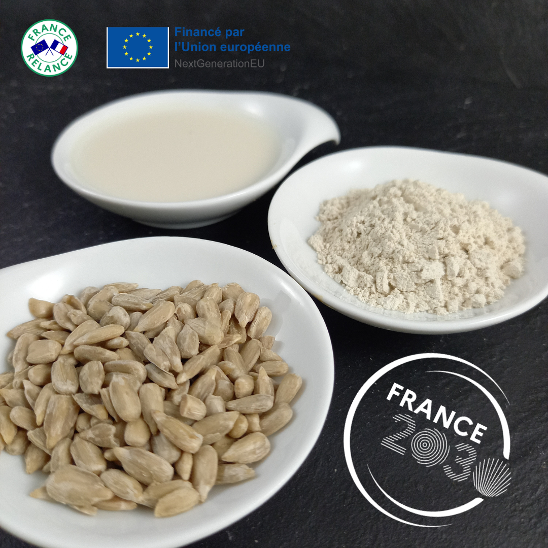 PoVInDis France2030 Francerelance Poudres végétales intégrales oléo protéagineuses dispersibles instantanément