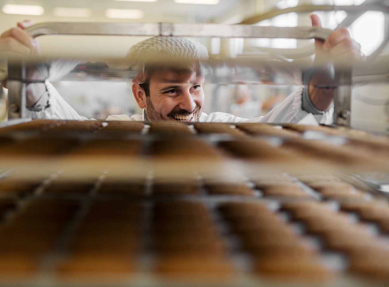 expert agroalimentaire protial